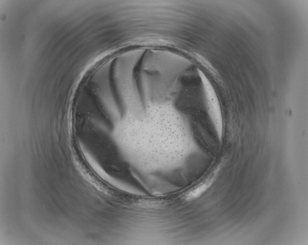 X0000081430840200701261820