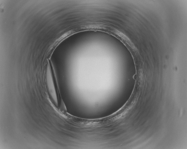 X0000081430841200701261820