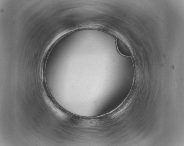 X0000081430843200701261820