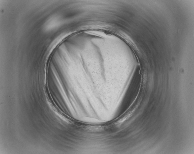 X0000081430844200701261820