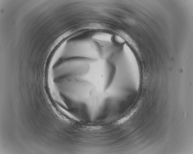 X0000081430845200701261820