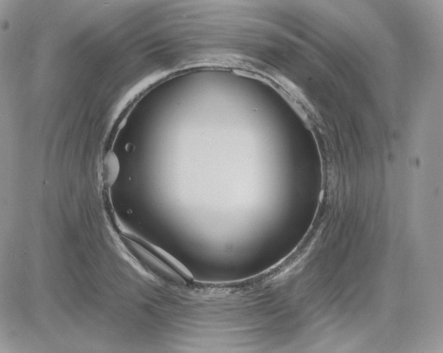 X0000081430846200701261821