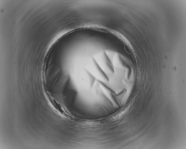 X0000081430847200701261821