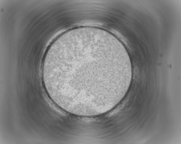 X0000081430848200701261821