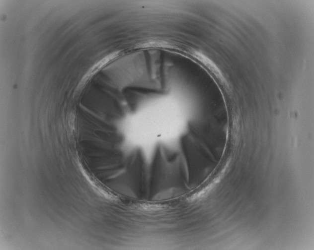 X0000081430849200701261821