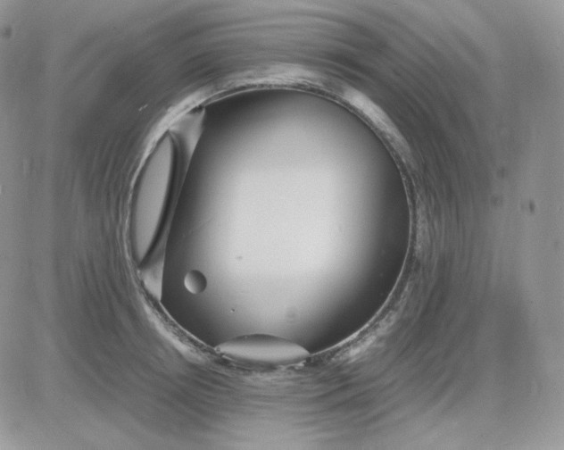 X0000081430850200701261821