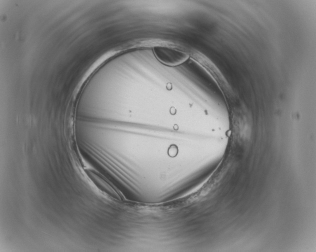 X0000081430852200701261821