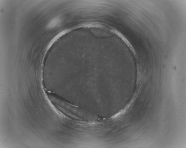 X0000081430853200701261821