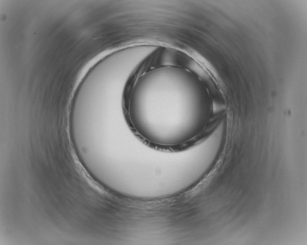 X0000081430854200701261821