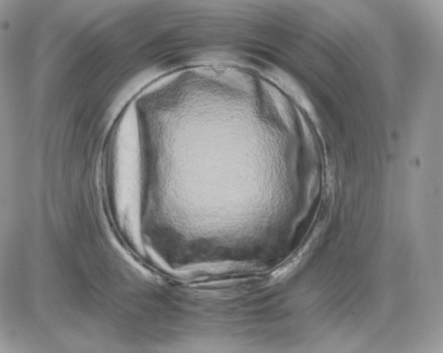 X0000081430855200701261821