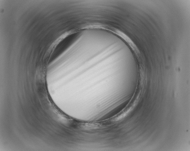 X0000081430857200701261821