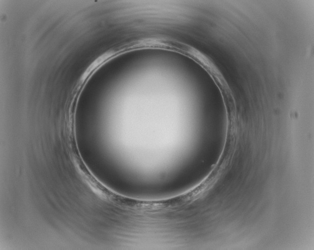 X0000081430858200701261821