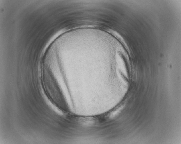 X0000081430859200701261821