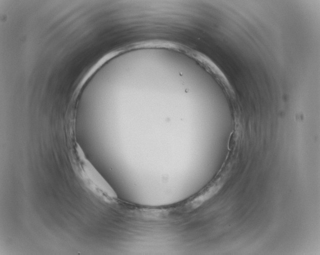 X0000081430860200701261821