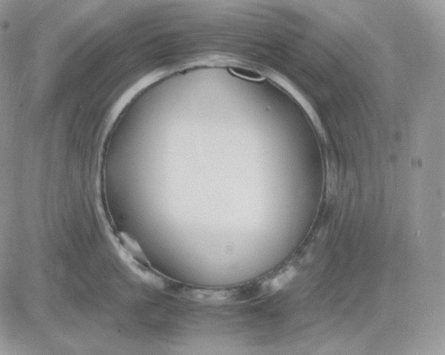 X0000081430861200701261821