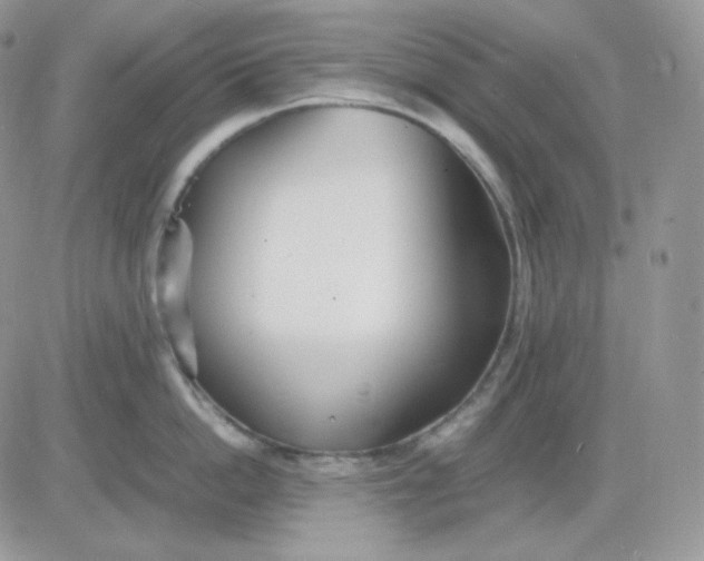 X0000081430862200701261821