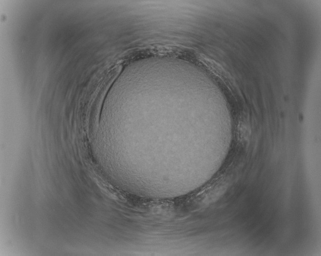 X0000081430865200701261820