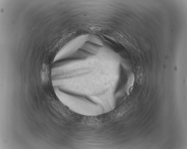 X0000081430866200701261820