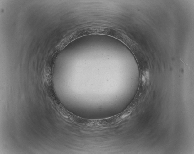 X0000081430867200701261820