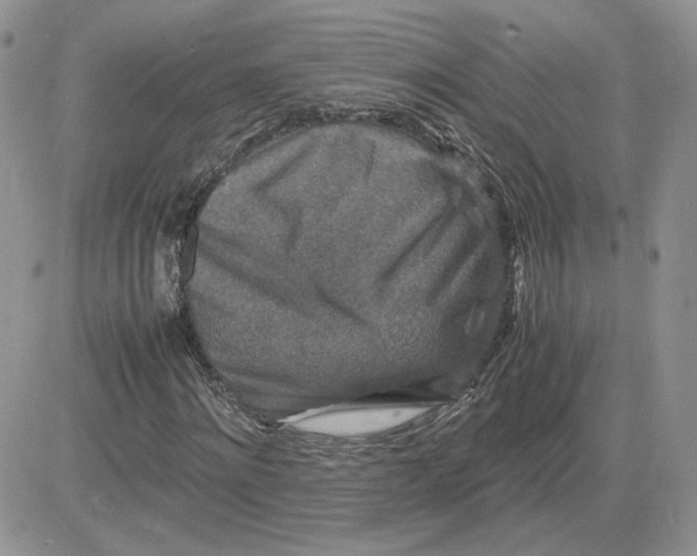 X0000081430868200701261820