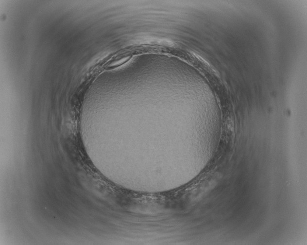 X0000081430869200701261820