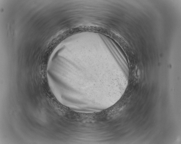 X0000081430870200701261820