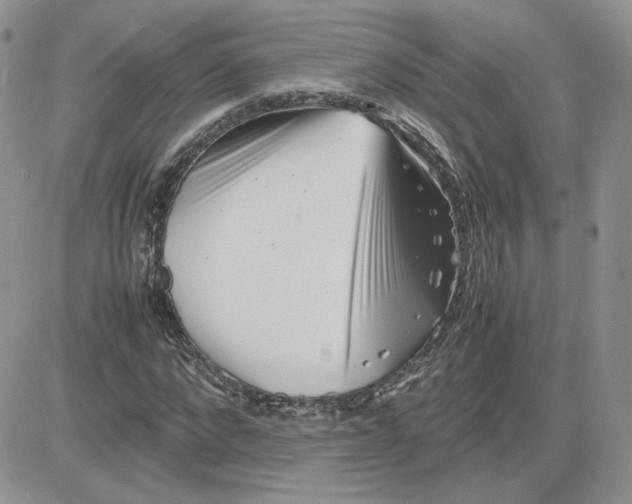 X0000081430872200701261820