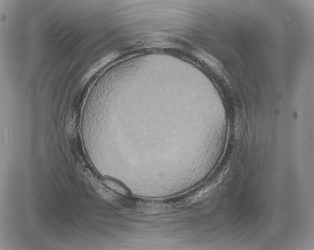 X0000081430873200701261820