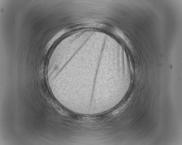 X0000081430875200701261820