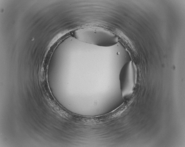 X0000081430876200701261820