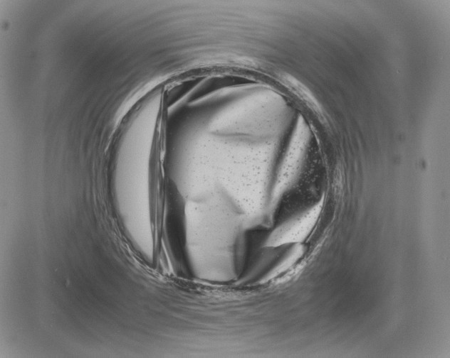 X0000081430877200701261820