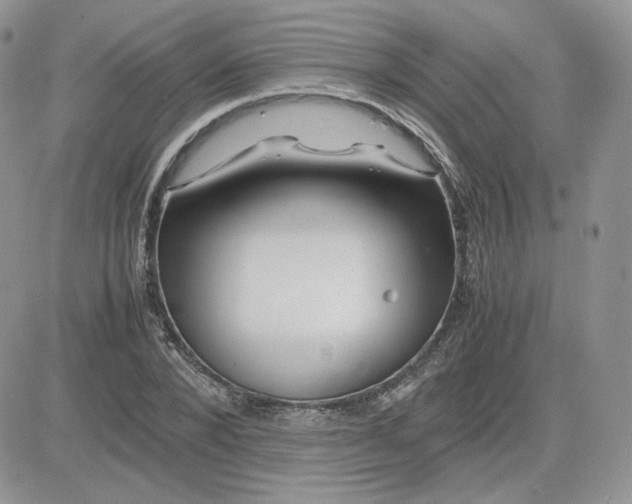 X0000081430880200701261820