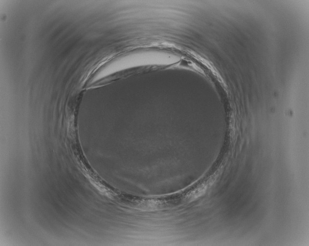 X0000081430881200701261820