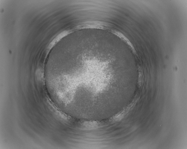 X0000081430882200701261820