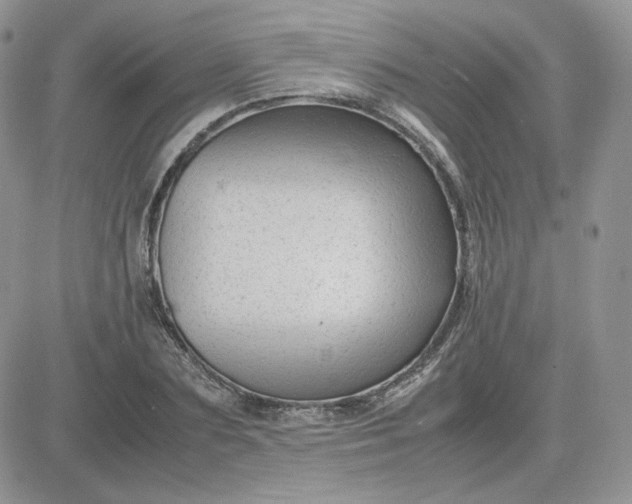 X0000081430883200701261820