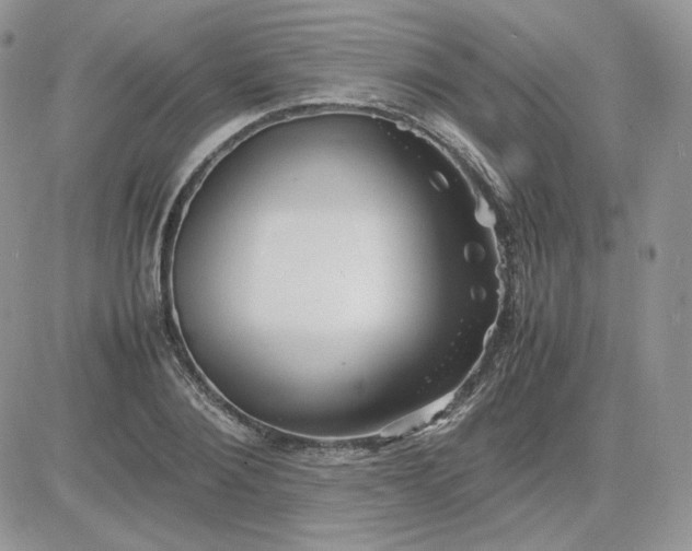 X0000081430884200701261820