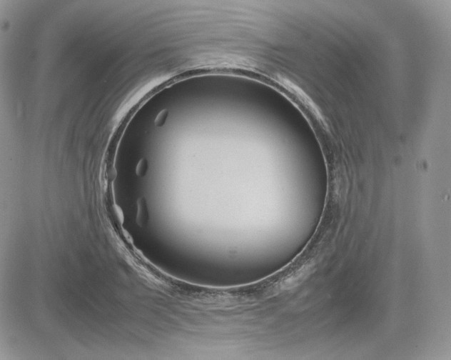 X0000081430885200701261820