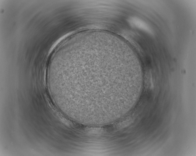 X0000081430886200701261820