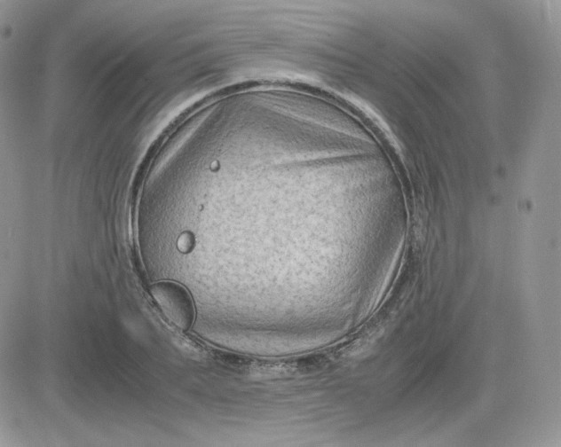 X0000081430887200701261820