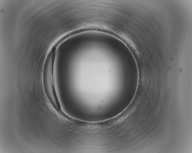 X0000081430888200701261820