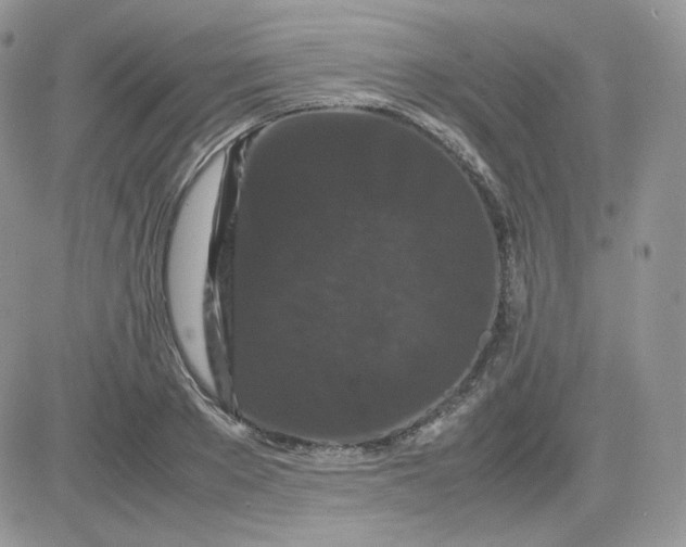 X0000081430889200701261820