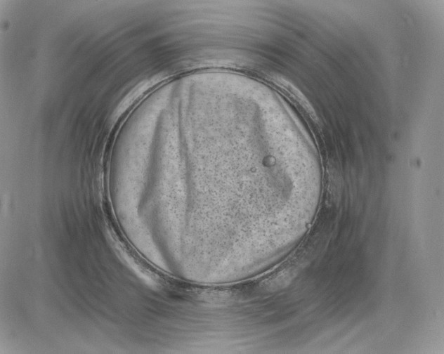 X0000081430890200701261820