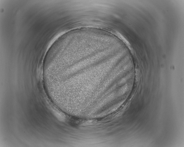 X0000081430891200701261820