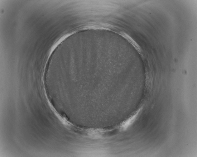 X0000081430893200701261820