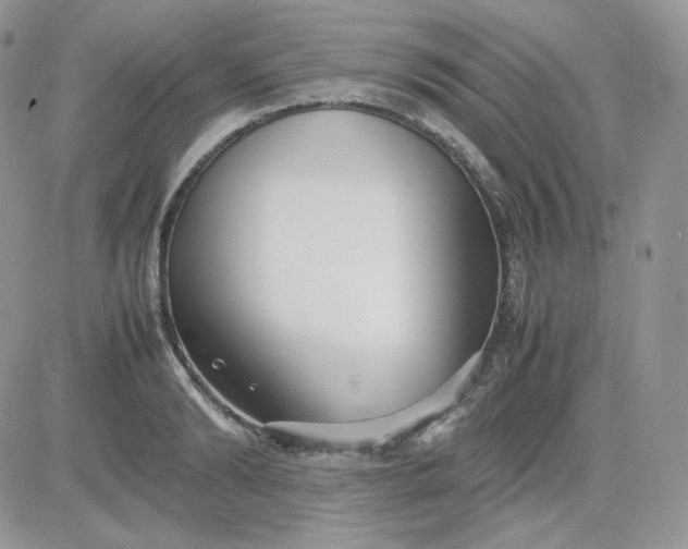 X0000081430894200701261820