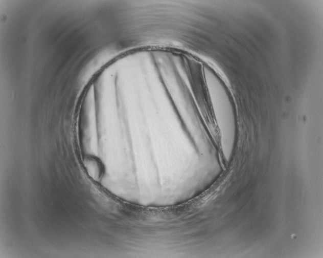 X0000081430895200701261820