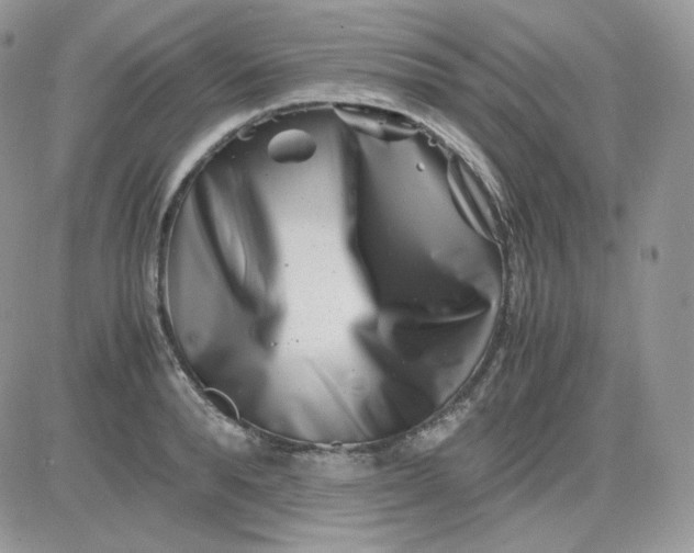 X0000081430896200701261820