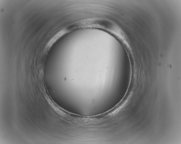 X0000081430897200701261819