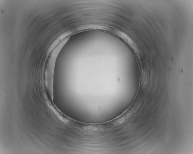 X0000081430898200701261819