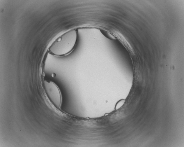 X0000081430900200701261819